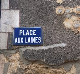 Une visite commentée est organisée le 23 octobre à 14h30 depuis la place aux Laines.